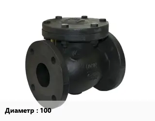 Клапан чугунный 100 обратный, подъемный 200